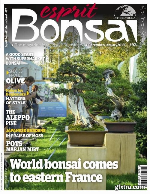 Esprit Bonsai International – December 2018