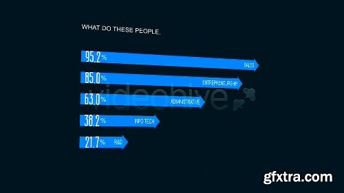 Videohive Infographics Template 2 1761499