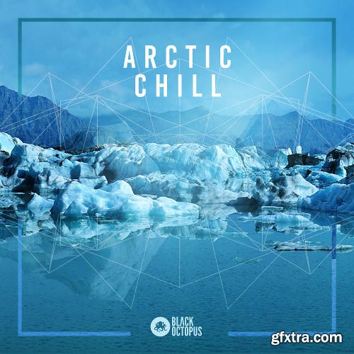 Black Octopus Sound Arctic Chill WAV-DISCOVER