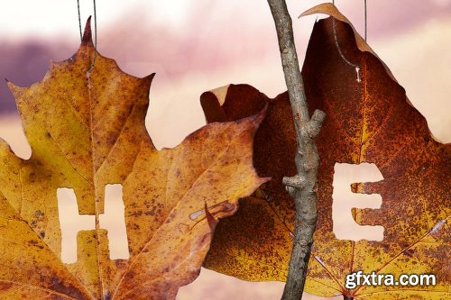 Mightydeals Mega Autumn Design Bundle with 700+ Elements