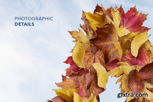 Mightydeals Mega Autumn Design Bundle with 700+ Elements