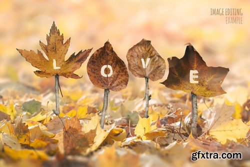 Mightydeals Mega Autumn Design Bundle with 700+ Elements