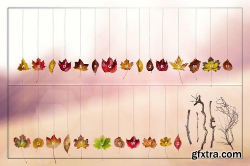 Mightydeals Mega Autumn Design Bundle with 700+ Elements