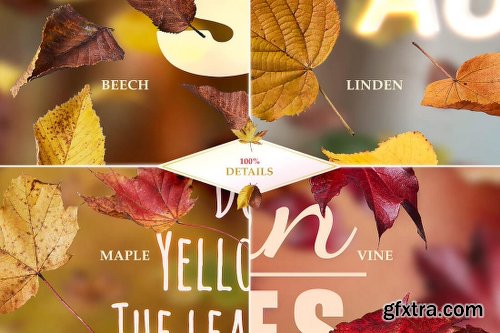 Mightydeals Mega Autumn Design Bundle with 700+ Elements