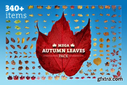 Mightydeals Mega Autumn Design Bundle with 700+ Elements