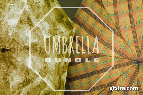 Mightydeals Mega Autumn Design Bundle with 700+ Elements