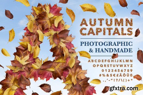 Mightydeals Mega Autumn Design Bundle with 700+ Elements