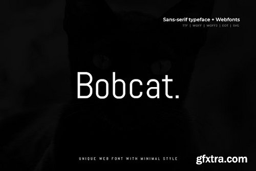 CM - Bobcat - Modern Typeface + WebFont