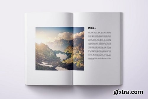 Elegant Minimal Portfolio