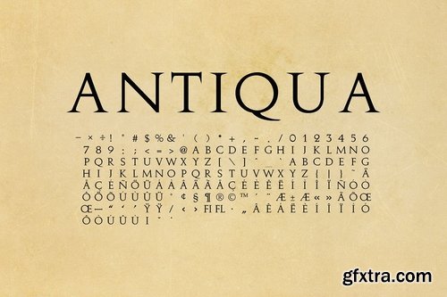 CM - Antiqua - Antique Roman Font 2507299