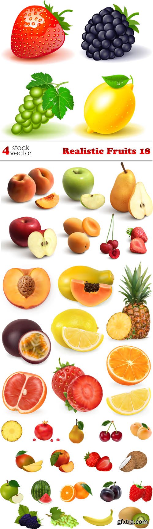 Vectors - Realistic Fruits 18