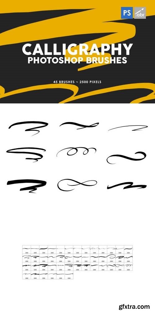 45 Calligraphy Photoshop Stamp Brushes