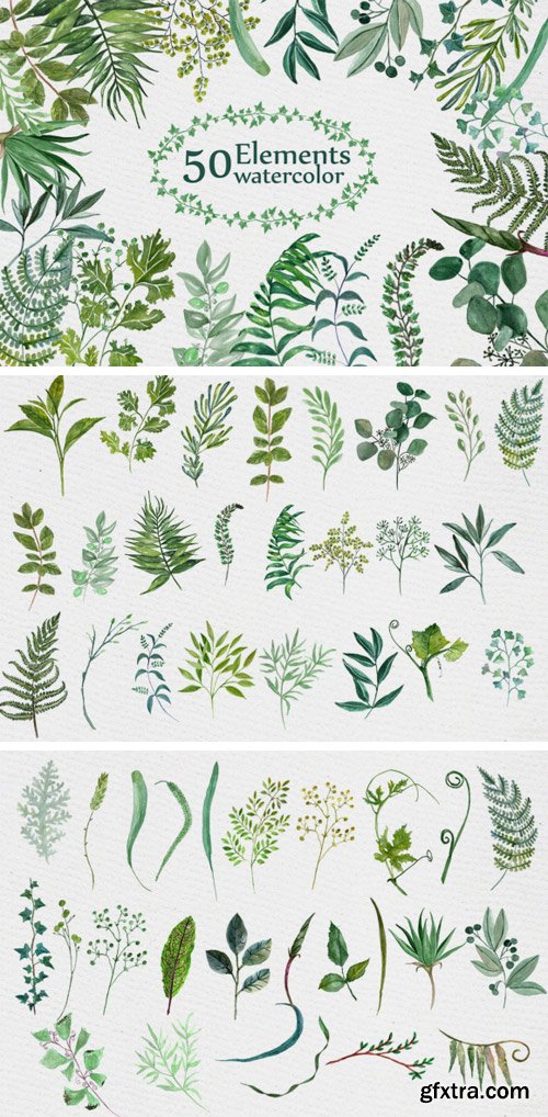 Watercolor Ferns Clipart