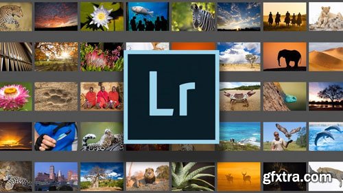 Adobe Lightroom Classic CC - Beginner Level