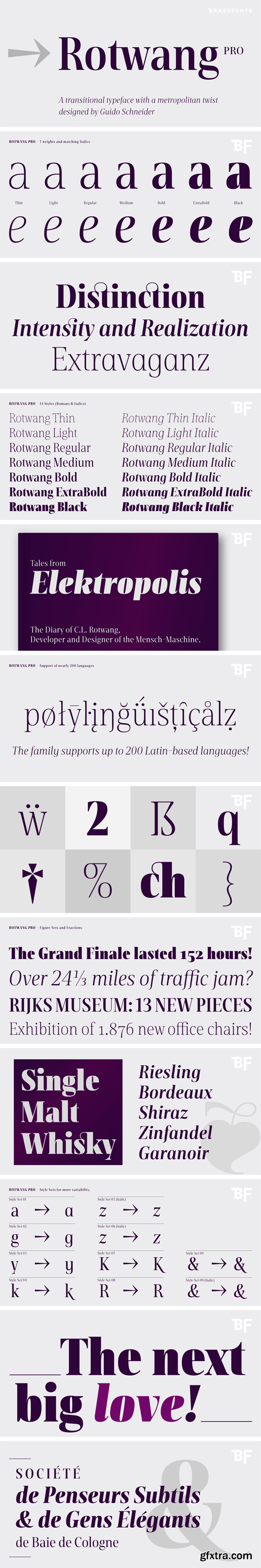 BF Rotwang Pro Font Family