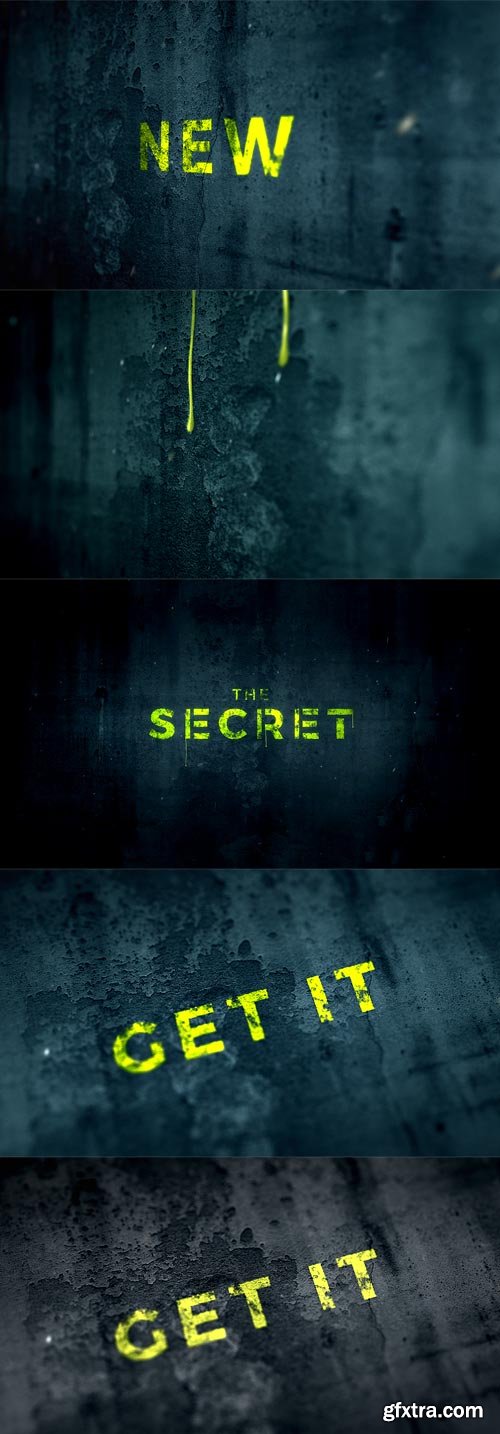 Videohive - The Secret | Logo Reveal - 21255629