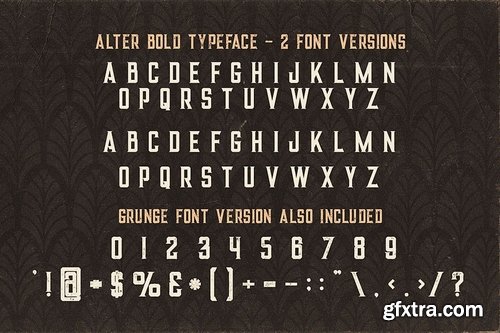 5 Fonts Bundle 3