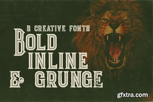 5 Fonts Bundle 3