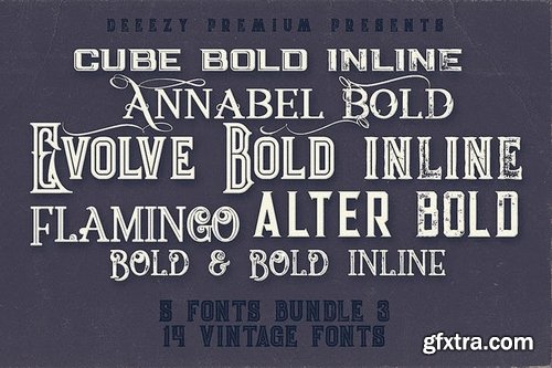 5 Fonts Bundle 3