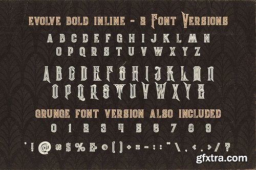 5 Fonts Bundle 3