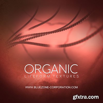 Bluezone Corporation Organic (Lifeform Textures) WAV-DISCOVER