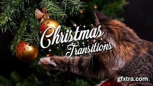 Christmas Transitions Pack - Motion Graphics 143842