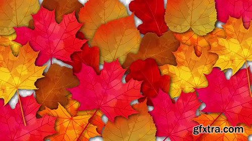 Bright Autumn Leaves Transition Pack - Motion Graphics 138681