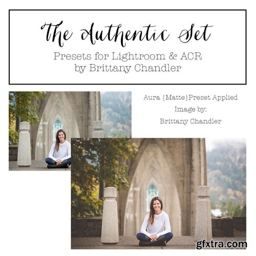 The Authentic Set by Brittany Chandler Presets (LR & ACR)