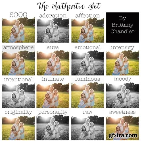 The Authentic Set by Brittany Chandler Presets (LR & ACR)