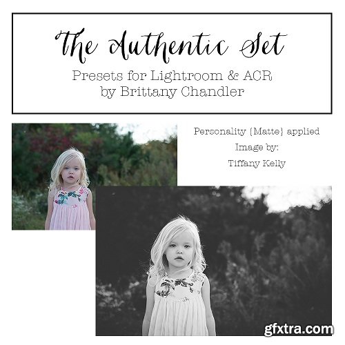 The Authentic Set by Brittany Chandler Presets (LR & ACR)