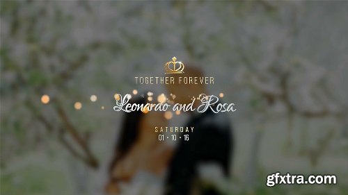 Videohive Luxory Wedding Title Kit 15597193