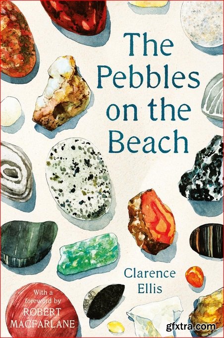 The Pebbles on the Beach