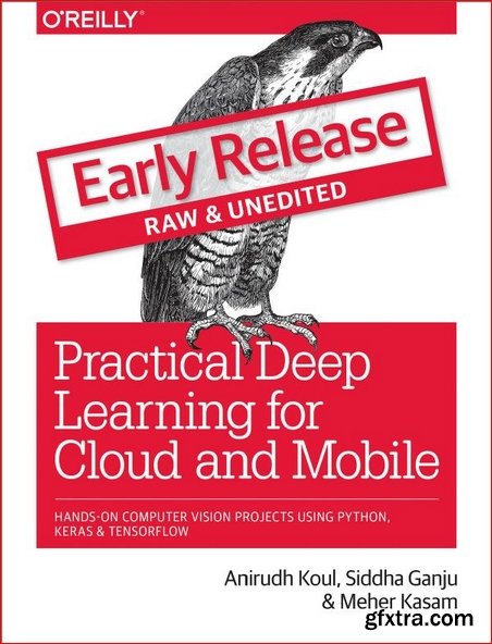 Practical Deep Learning for Cloud and Mobile [Early Release]