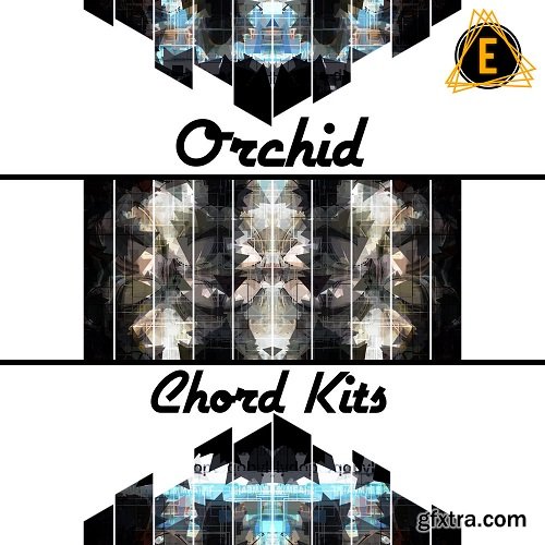 Electronisounds Orchid Chord Kits WAV