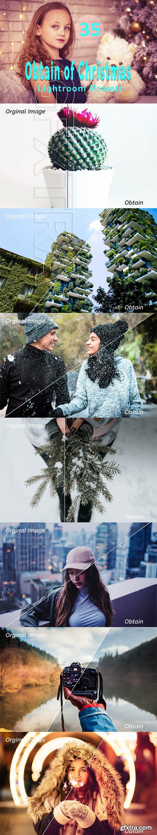 Obtain of Christmas Lightroom Presets