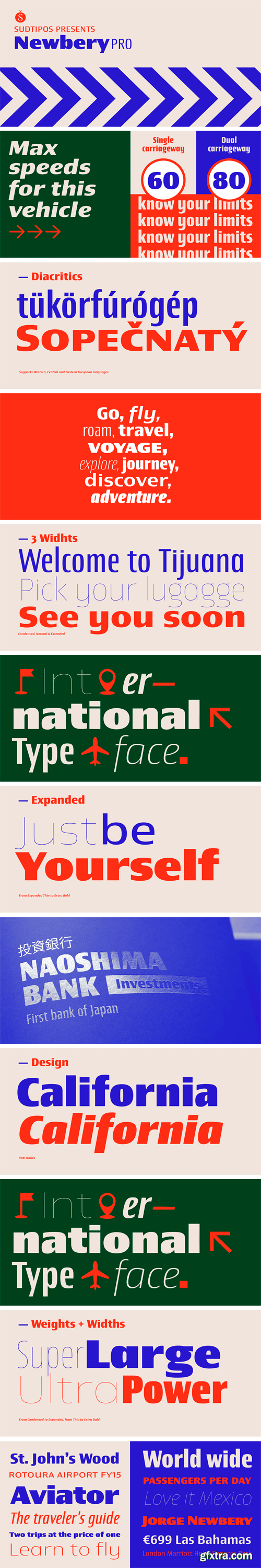 Newbery Sans Font Family - 126 Styles!