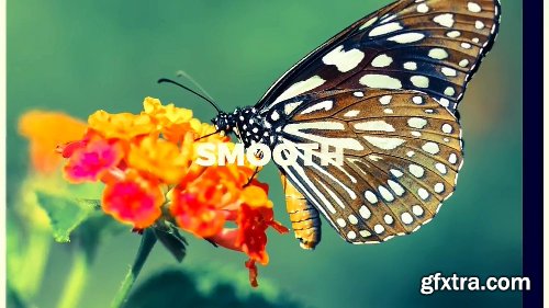 Videohive Colorful Opener 22120833