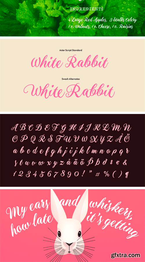 Aster Script Font