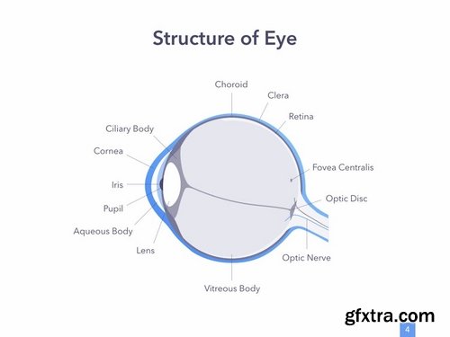 Eye Health PowerPoint Template