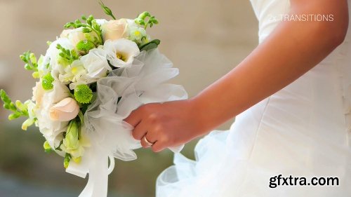 Videohive Daydream Wedding 7516645