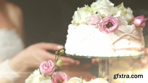 Videohive Eternal Moment Wedding 7647167