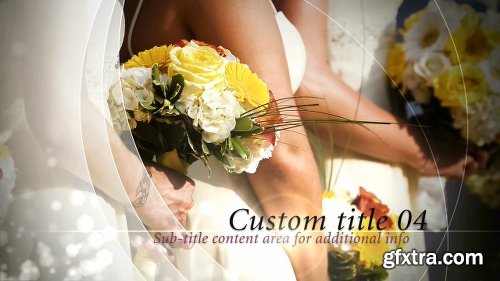 Videohive Ivory Wedding 7647168