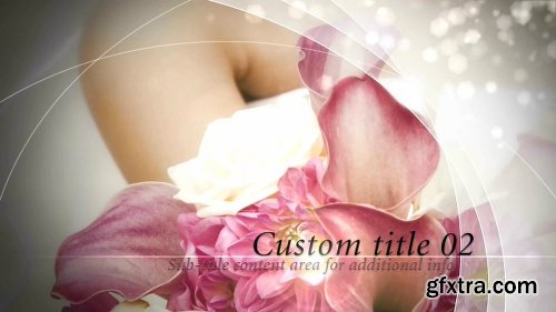 Videohive Ivory Wedding 7647168