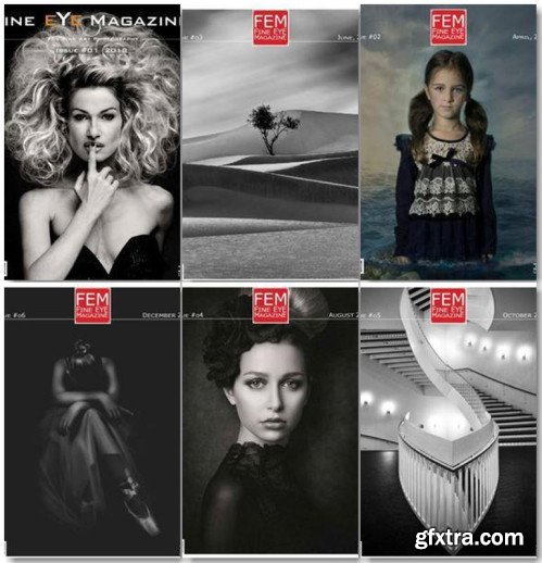 Fine Eye Magazine - 2018 Full Year Issues Collection