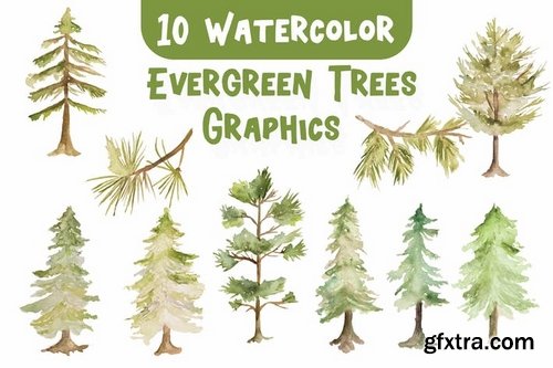 10 Watercolor Evergreen Trees Graphics Illustrator