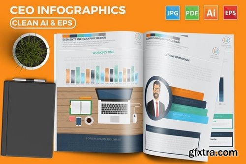 CEO Infographics Design 17 Pages