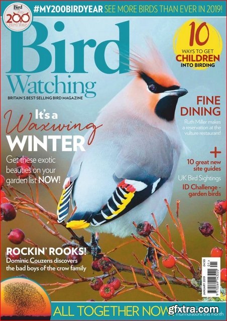 Bird Watching UK - January 2019