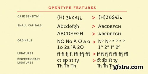 Croog Pro Font Family