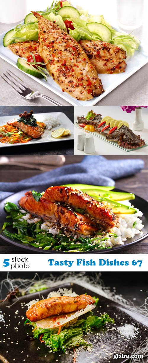 Photos - Tasty Fish Dishes 67