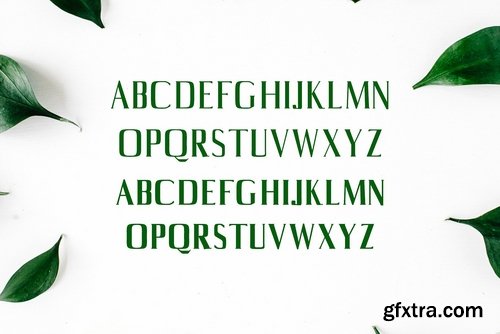 CM - Axell Serif Font Family Pack 1747262